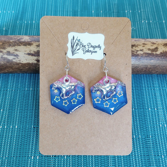 Hexigone shaped earrings